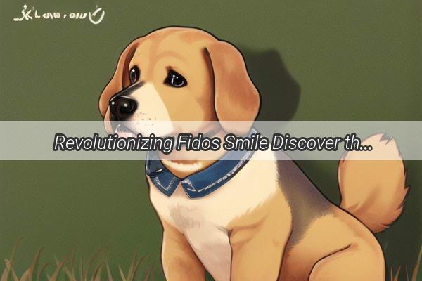 Revolutionizing Fidos Smile Discover the Best Dental Antibiotics for Your Poochs Oral Health